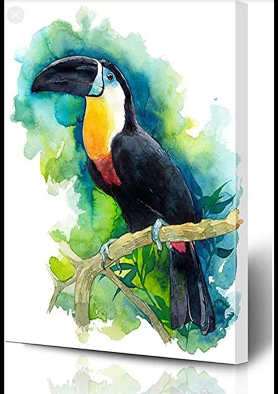 35 animaux à l'aquarelle pour apprendre à peindre des animaux 7 35 animaux à l'aquarelle pour apprendre à peindre des animaux 7