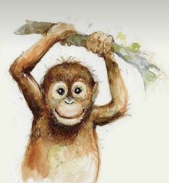 35 animaux à l'aquarelle pour apprendre à peindre des animaux 8 35 animaux à l'aquarelle pour apprendre à peindre des animaux 8