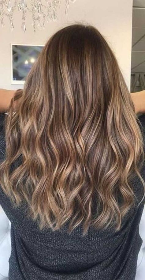 77 Nuances de Couleurs de Cheveux Châtain Clair 86 77 Nuances de Couleurs de Cheveux Châtain Clair 86