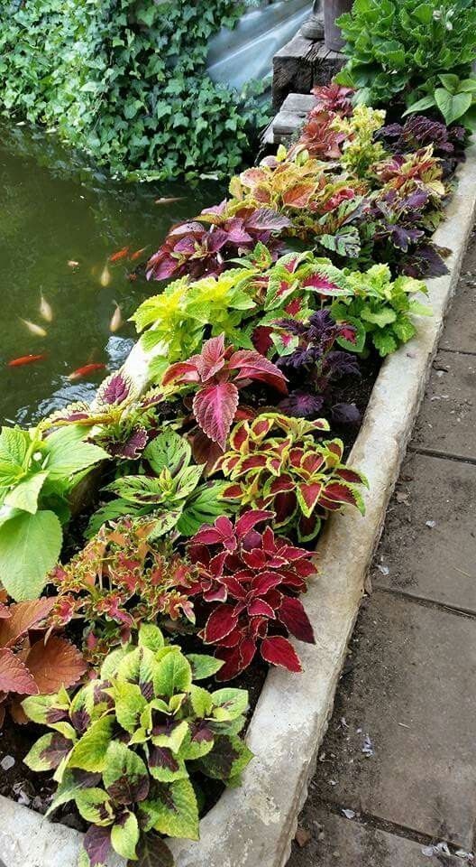 77 idées pour vous inspirer pour choisir le style parfait pour votre jardin 28 77 idées pour vous inspirer pour choisir le style parfait pour votre jardin 28