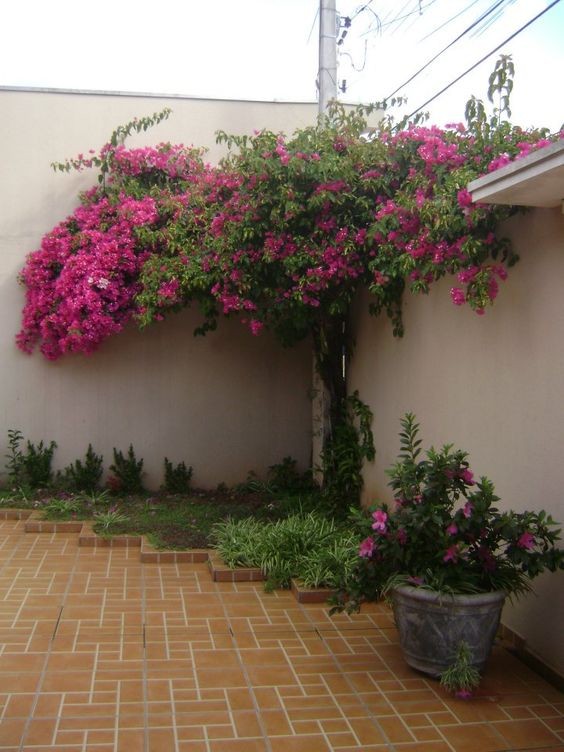 77 idées pour vous inspirer pour choisir le style parfait pour votre jardin 61 77 idées pour vous inspirer pour choisir le style parfait pour votre jardin 61