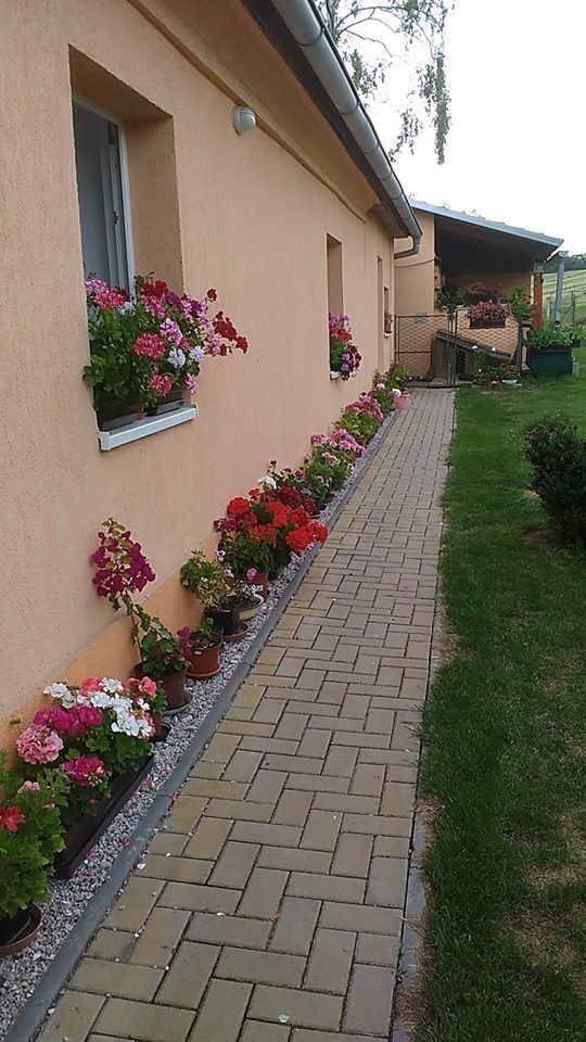 77 idées pour vous inspirer pour choisir le style parfait pour votre jardin 77 77 idées pour vous inspirer pour choisir le style parfait pour votre jardin 77