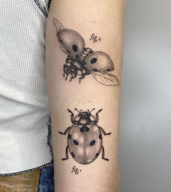9 Top idées de Tatouages Coccinelle 2 9 Top idées de Tatouages Coccinelle 2