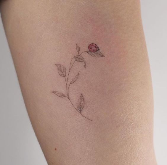 9 Top idées de Tatouages Coccinelle 15 9 Top idées de Tatouages Coccinelle 15