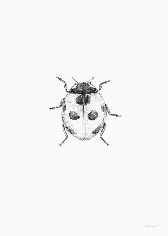 9 Top idées de Tatouages Coccinelle 16 9 Top idées de Tatouages Coccinelle 16