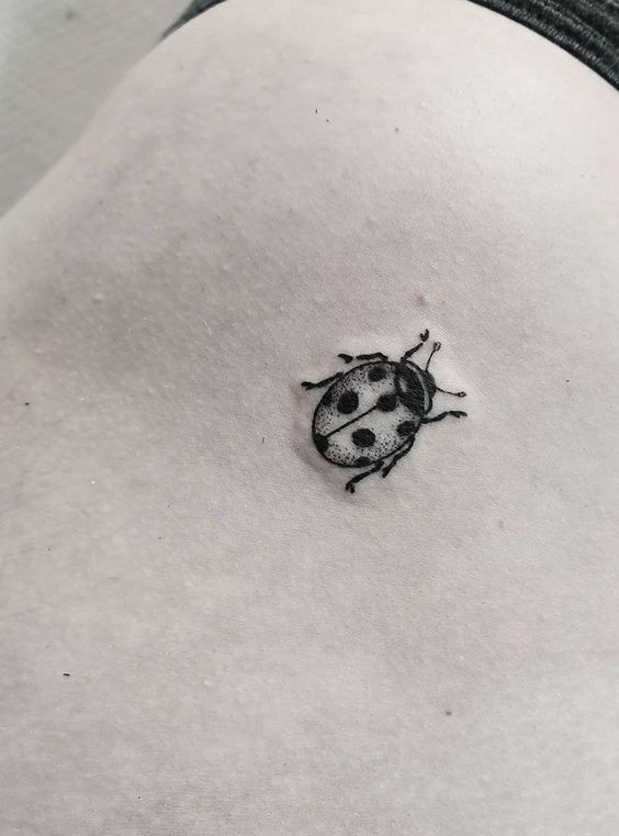 9 Top idées de Tatouages Coccinelle 18 9 Top idées de Tatouages Coccinelle 18