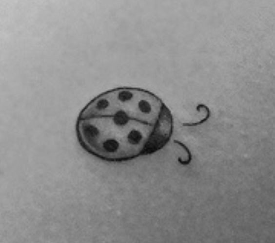 9 Top idées de Tatouages Coccinelle 19 9 Top idées de Tatouages Coccinelle 19