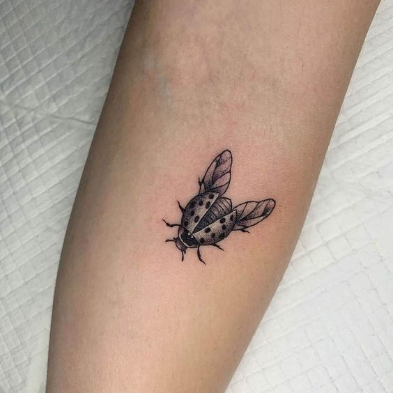 9 Top idées de Tatouages Coccinelle 26 9 Top idées de Tatouages Coccinelle 26