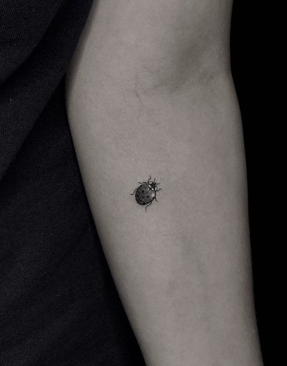 9 Top idées de Tatouages Coccinelle 27 9 Top idées de Tatouages Coccinelle 27