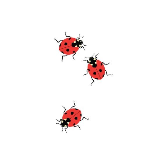 9 Top idées de Tatouages Coccinelle 30 9 Top idées de Tatouages Coccinelle 30