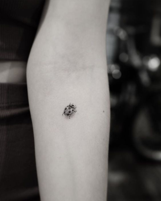 9 Top idées de Tatouages Coccinelle 4 9 Top idées de Tatouages Coccinelle 4