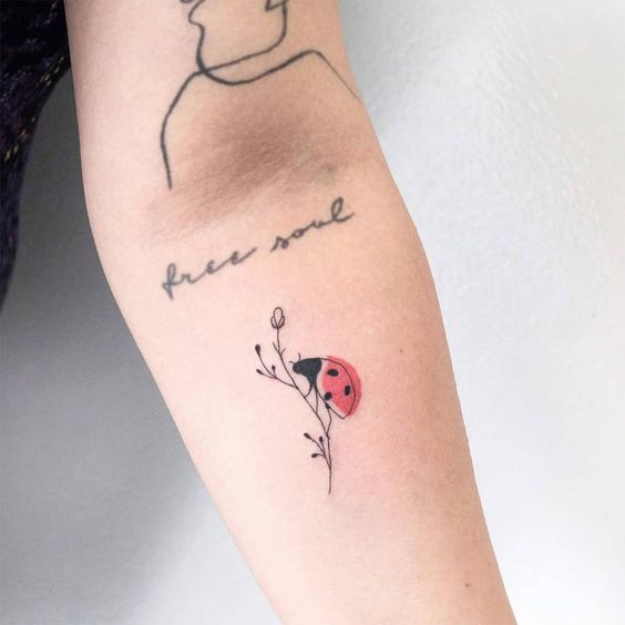 9 Top idées de Tatouages Coccinelle 32 9 Top idées de Tatouages Coccinelle 32