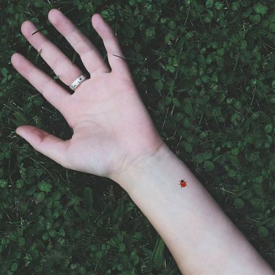 9 Top idées de Tatouages Coccinelle 34 9 Top idées de Tatouages Coccinelle 34