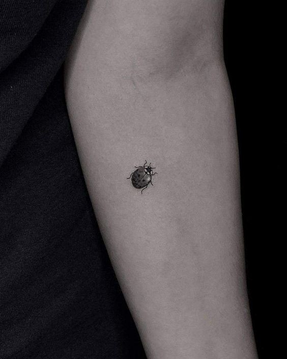 9 Top idées de Tatouages Coccinelle 36 9 Top idées de Tatouages Coccinelle 36