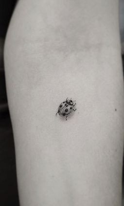 9 Top idées de Tatouages Coccinelle 9 9 Top idées de Tatouages Coccinelle 9