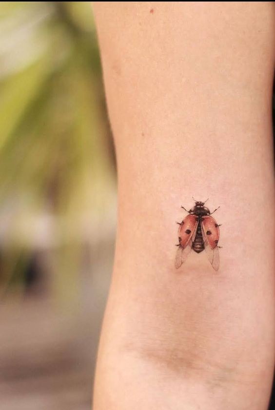 9 Top idées de Tatouages Coccinelle 10 9 Top idées de Tatouages Coccinelle 10