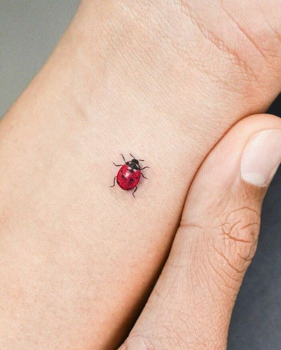 9 Top idées de Tatouages Coccinelle 1 9 Top idées de Tatouages Coccinelle 1