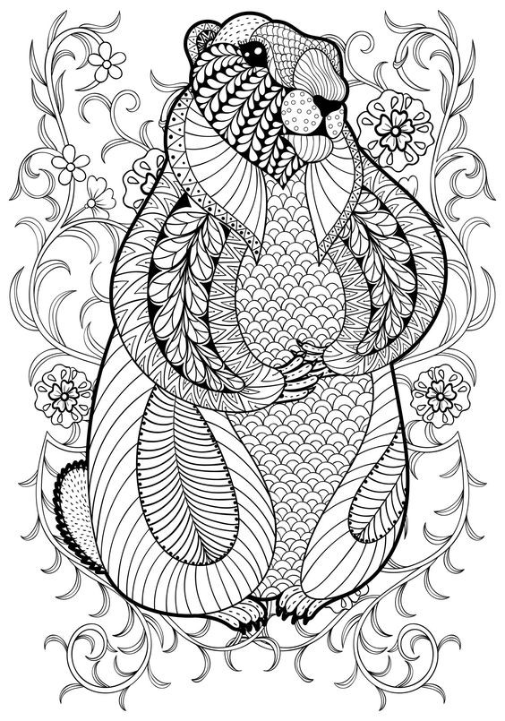 Coloriages mandala pour adulte : 40 dessins zen & anti-stress à