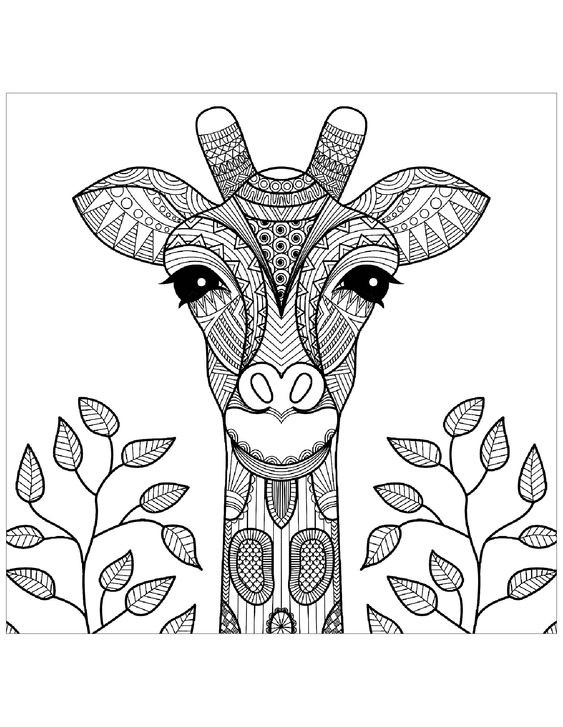 Coloriages mandala pour adulte : 40 dessins zen & anti-stress à imprimer gratuitement 26 Coloriages mandala pour adulte : 40 dessins zen & anti-stress à imprimer gratuitement 26