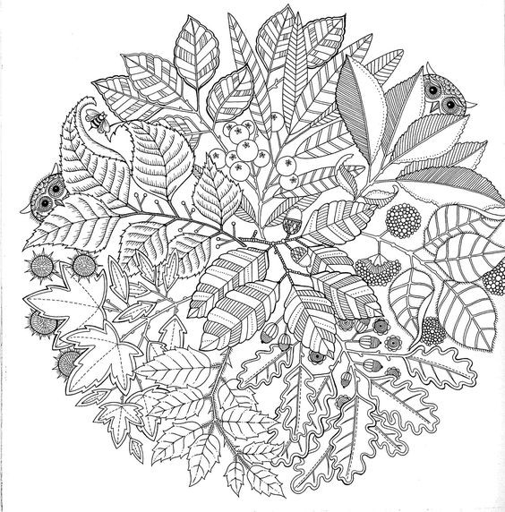 Coloriages mandala pour adulte : 40 dessins zen & anti-stress à imprimer gratuitement 35 Coloriages mandala pour adulte : 40 dessins zen & anti-stress à imprimer gratuitement 35