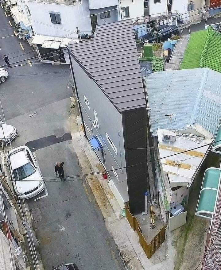 Quand on a un petit terrain, il faut savoir en profiter 2
