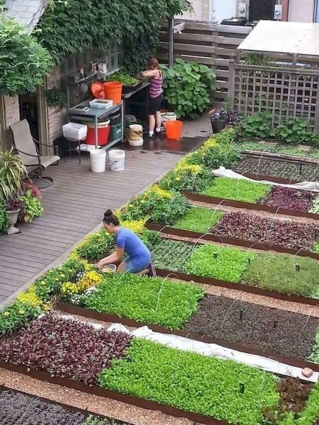 27 idées pour décorer votre jardin avec des plantes 3 27 idées pour décorer votre jardin avec des plantes 3