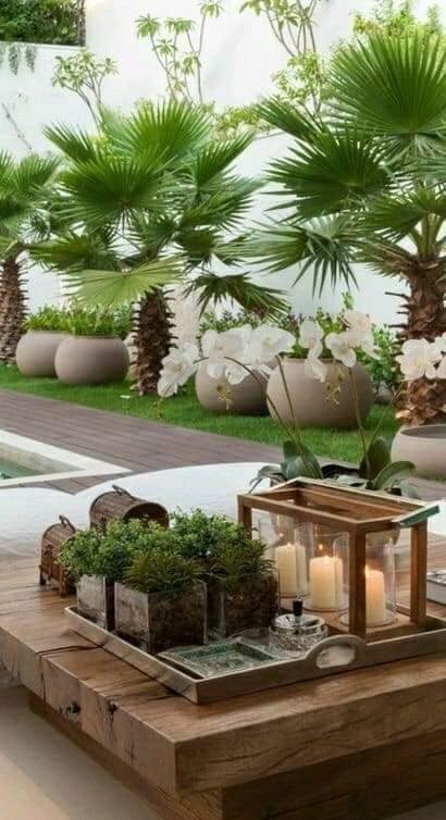 27 idées pour décorer votre jardin avec des plantes 4 27 idées pour décorer votre jardin avec des plantes 4