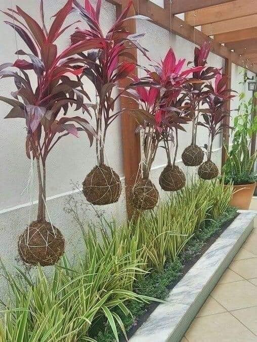 27 idées pour décorer votre jardin avec des plantes 6 27 idées pour décorer votre jardin avec des plantes 6