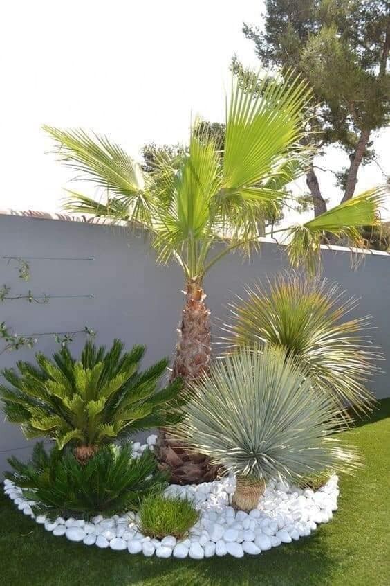 27 idées pour décorer votre jardin avec des plantes 12 27 idées pour décorer votre jardin avec des plantes 12