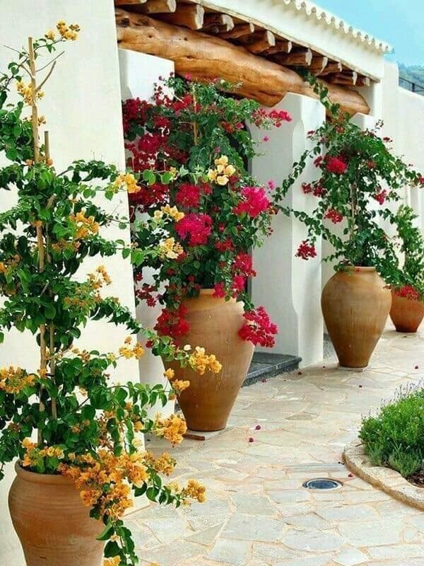 27 idées pour décorer votre jardin avec des plantes 21 27 idées pour décorer votre jardin avec des plantes 21