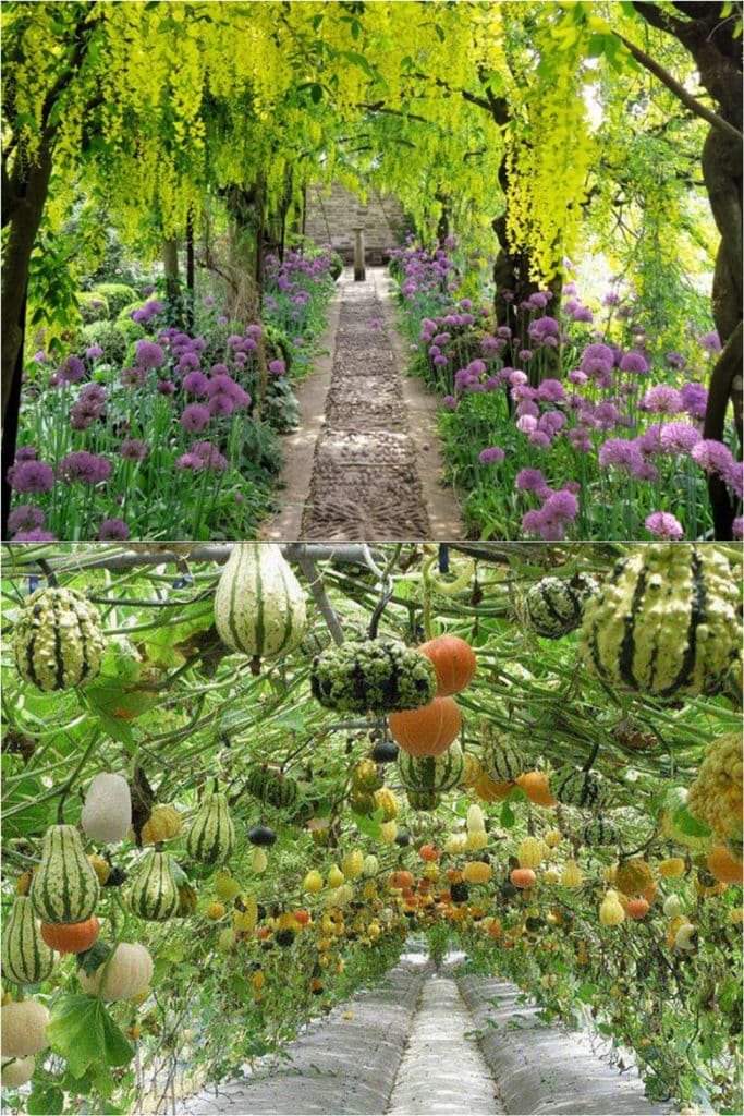 12 étonnantes décorations et structures de jardins vivants à bricoler 6 garden Flower tunnel & Gourd Tunnel