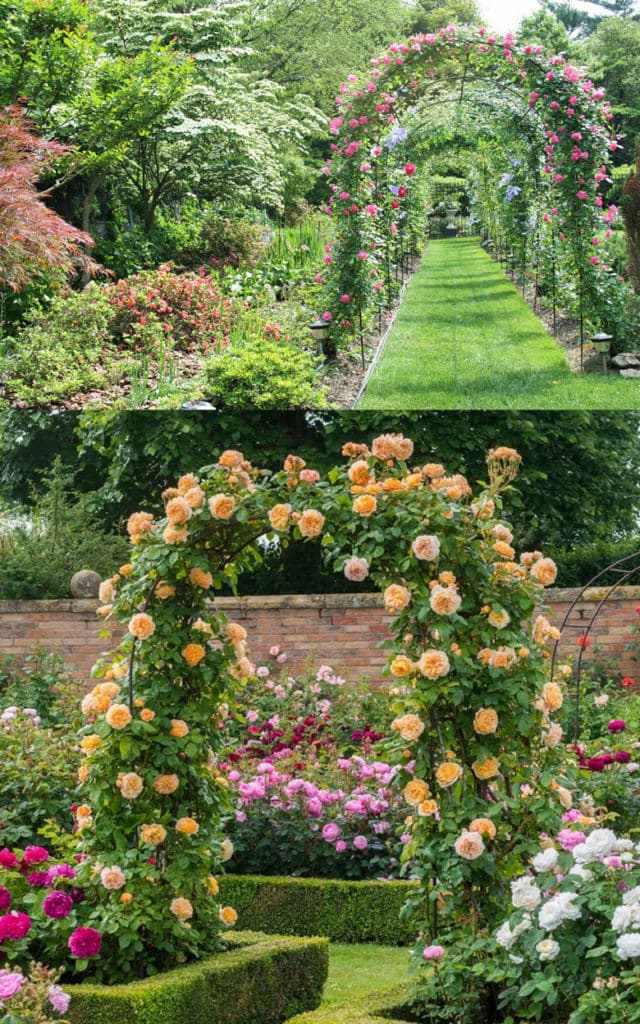 12 étonnantes décorations et structures de jardins vivants à bricoler 13 Beautiful Rose Arches and Tunnels