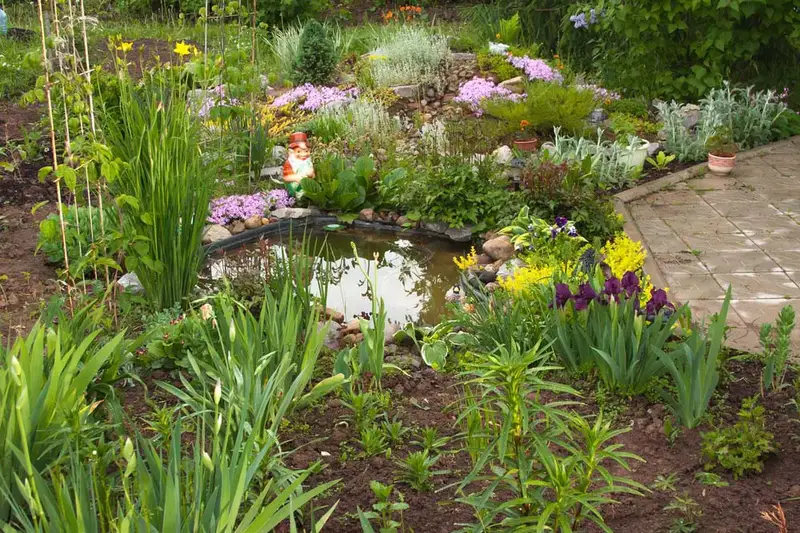 61 idées de jardins super cool dans l'arrière-cour 31 Small Garden with Pond