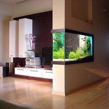 25 top idées d'aquariums de luxe 1