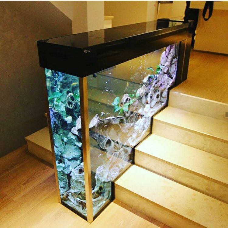 25 top idées d'aquariums de luxe 2