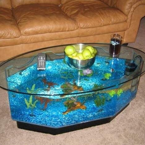 25 top idées d'aquariums de luxe 4