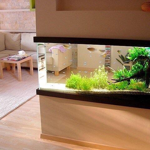 25 top idées d'aquariums de luxe 6