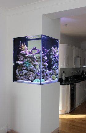 25 top idées d'aquariums de luxe 9