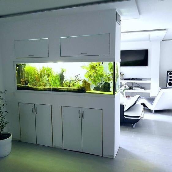25 top idées d'aquariums de luxe 10