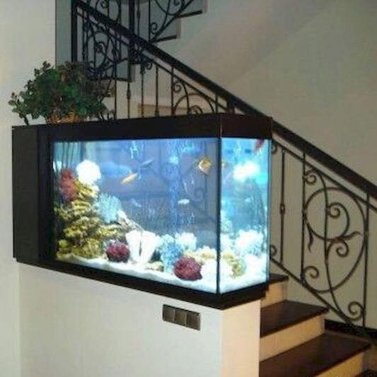25 top idées d'aquariums de luxe 15