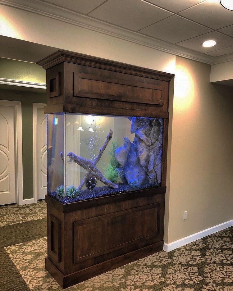 25 top idées d'aquariums de luxe 16
