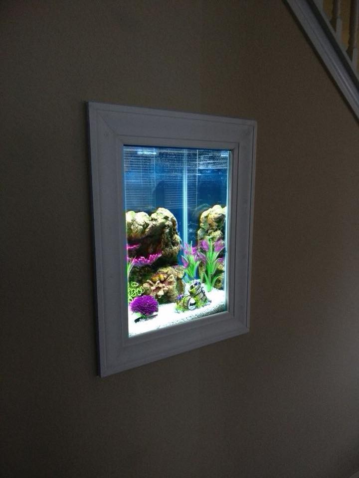 25 top idées d'aquariums de luxe 17