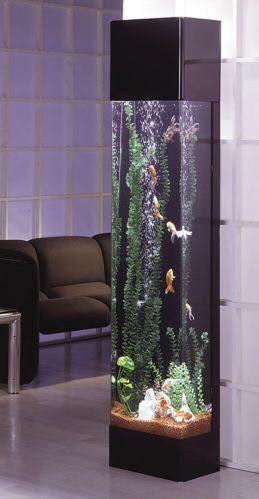 25 top idées d'aquariums de luxe 20