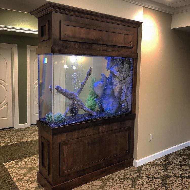25 top idées d'aquariums de luxe 22