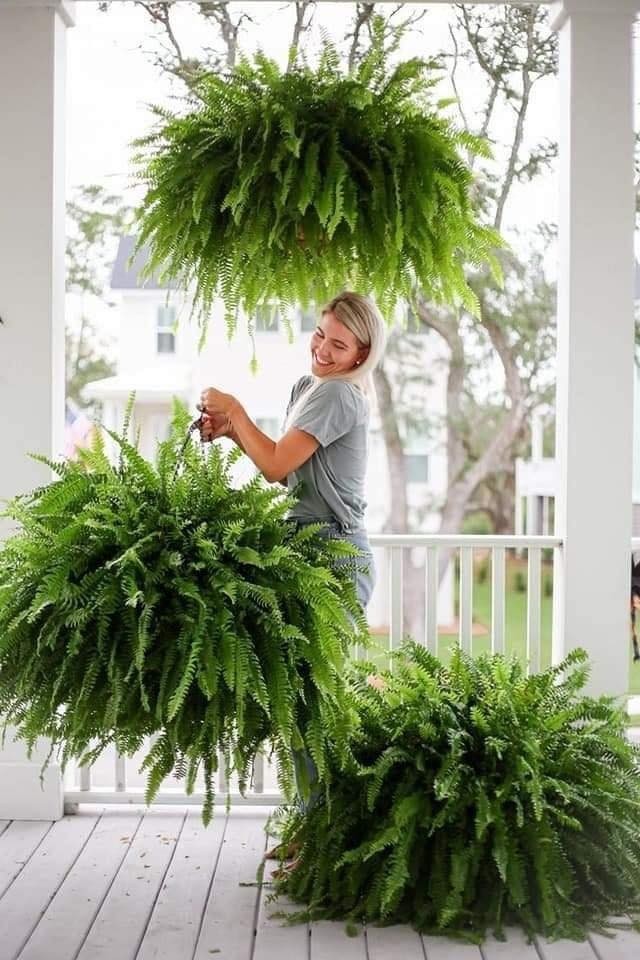 18 idées pour vous inspirer à décorer avec des plantes 4 18 idées pour vous inspirer à décorer avec des plantes 4