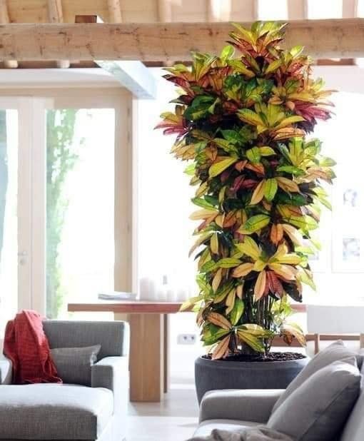 18 idées pour vous inspirer à décorer avec des plantes 15 18 idées pour vous inspirer à décorer avec des plantes 15