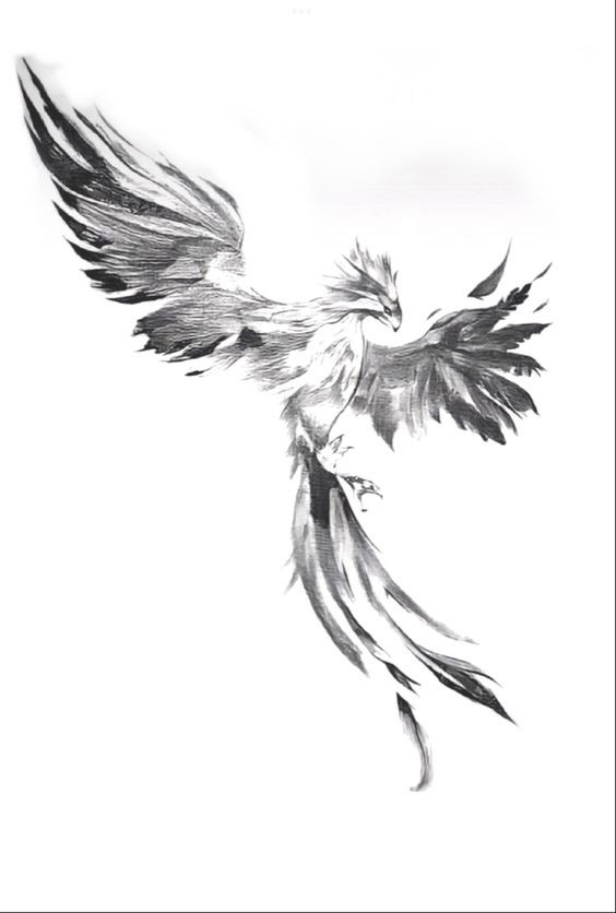 14 superbes tatouages ??de Phoenix pour les femmes 14 14 superbes tatouages ??de Phoenix pour les femmes 14