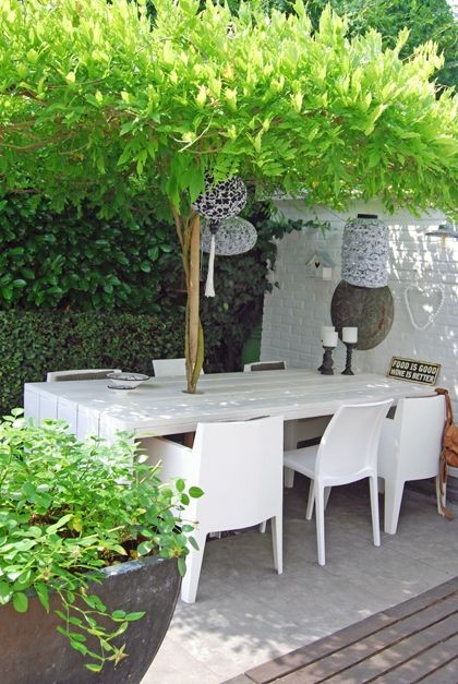 21 idées pour impliquer les arbres dans les espaces fonctionnels 1 21 idées pour impliquer les arbres dans les espaces fonctionnels 1