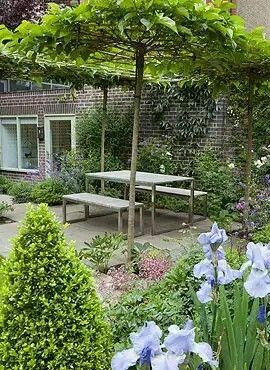 21 idées pour impliquer les arbres dans les espaces fonctionnels 13 21 idées pour impliquer les arbres dans les espaces fonctionnels 13