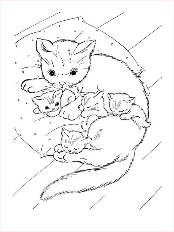 Coloriage chaton : 20 dessins à imprimer gratuitement 2 Coloriage chaton : 20 dessins à imprimer gratuitement 2